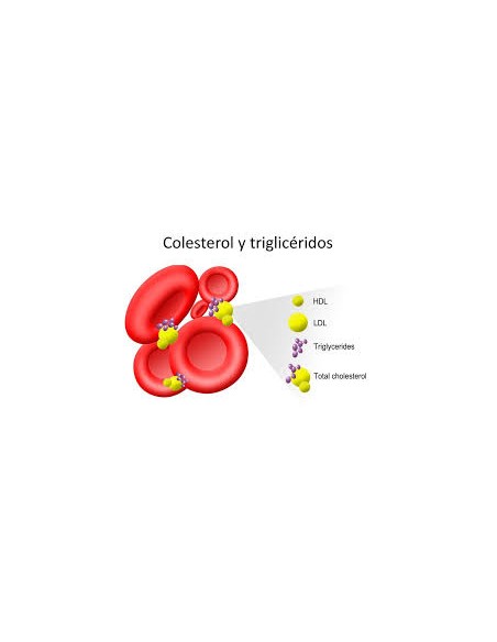 Dispositivos para medir Colesterol